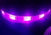 BlitzWolf BW-LT11 Smart LED Light Strip Review
