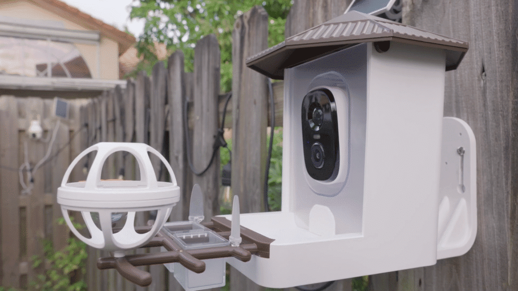Wansview F1 AI Bird Feeder Camera Review: Best tech for your garden? Wansview F1 AI Bird Feeder Camera Review: Best tech for your garden?